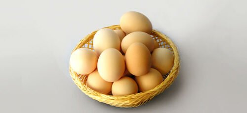 Suguna_hatching_eggs